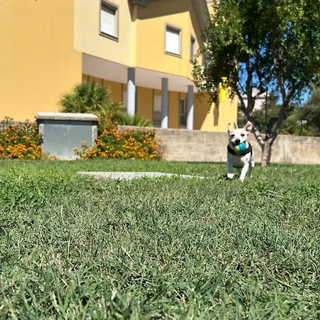 Piandanna
